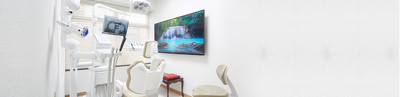 Primary Dental Care 尾山台